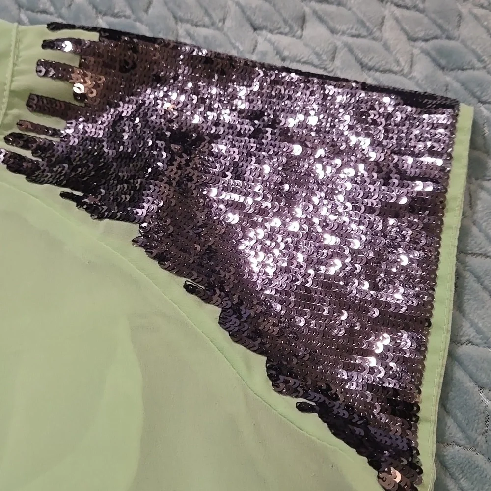 Sheer Green Top with Sequined Sleeves - Picture 2 of 6